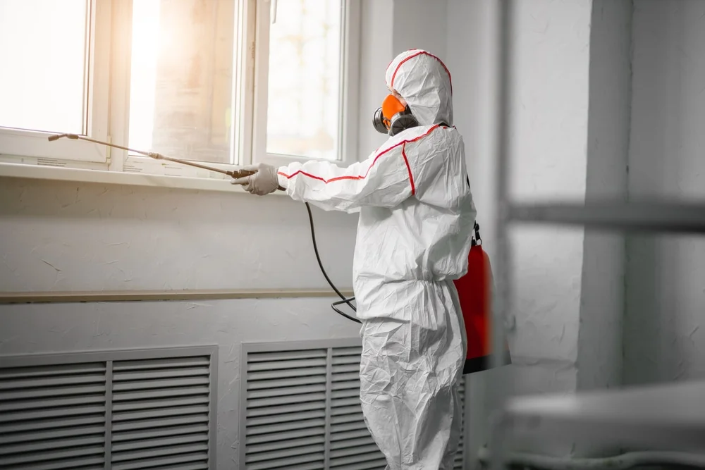 Professional mold remediation services in Plainwell, MI